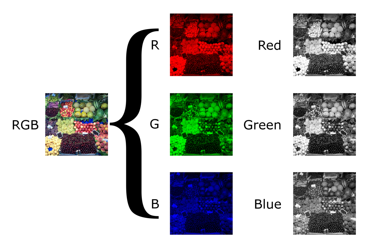 A small color photo on the left, split into its red, green, and blue channels, with each channel shown both tinted in its own color and as a grayscale image