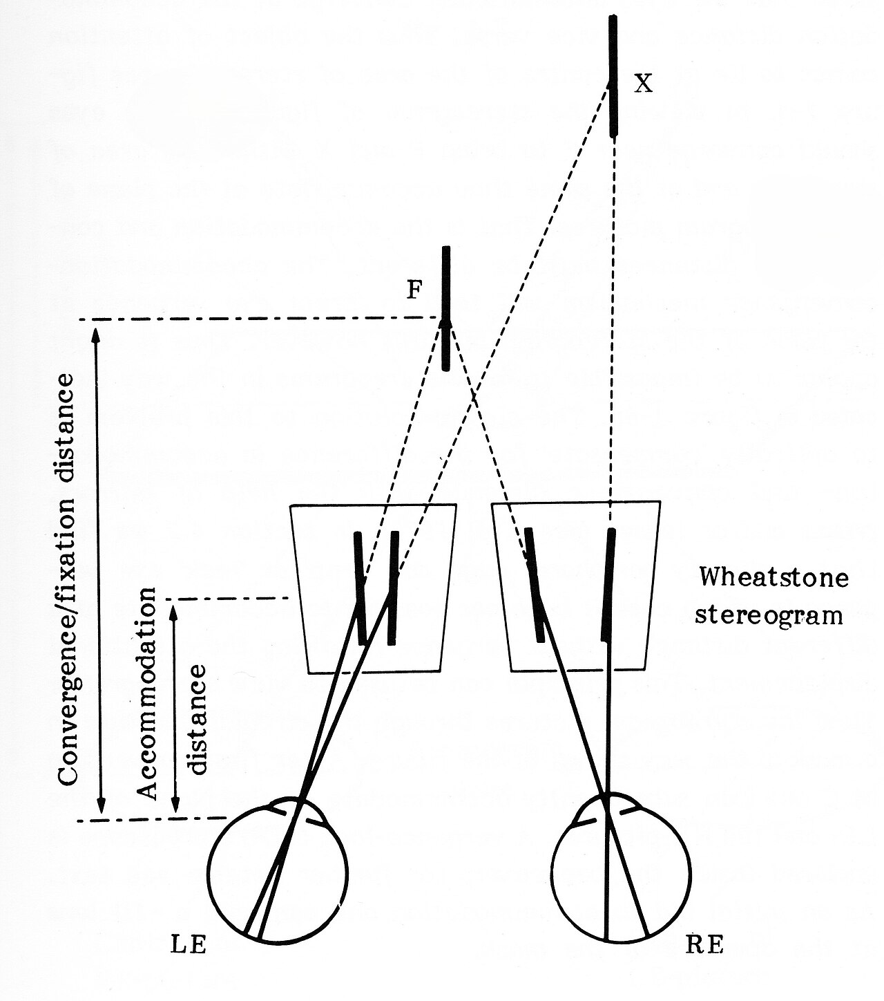 Diagram of a Wheatstone stereogram: two eyes (LE, RE) viewing a pair of drawings, with rays converging on a fixation point F and a more distant point X, marking the convergence and accommodation distances.