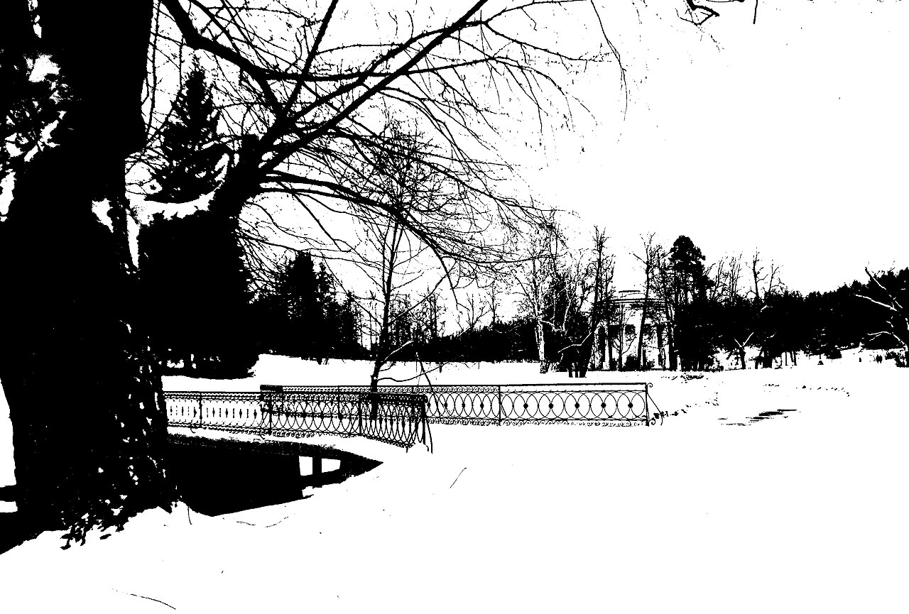 The same Pavlovsk bridge railing after thresholding, rendered as a stark black-and-white stencil.